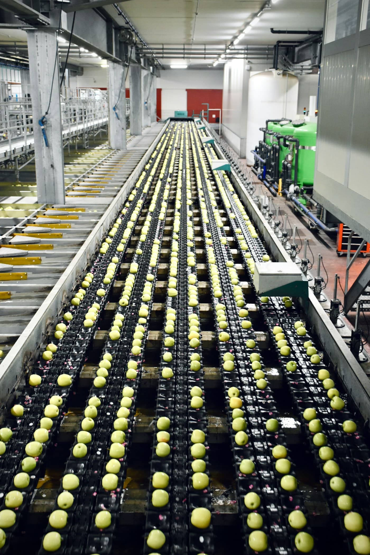 PepsiCo — Food processing plant extension (Lay's)